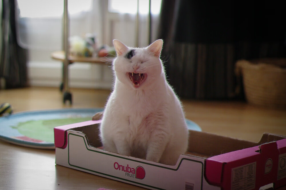 世界青少年马拉松劲爆开跑，燃烧希望，追逐梦想，2021青少年马拉松